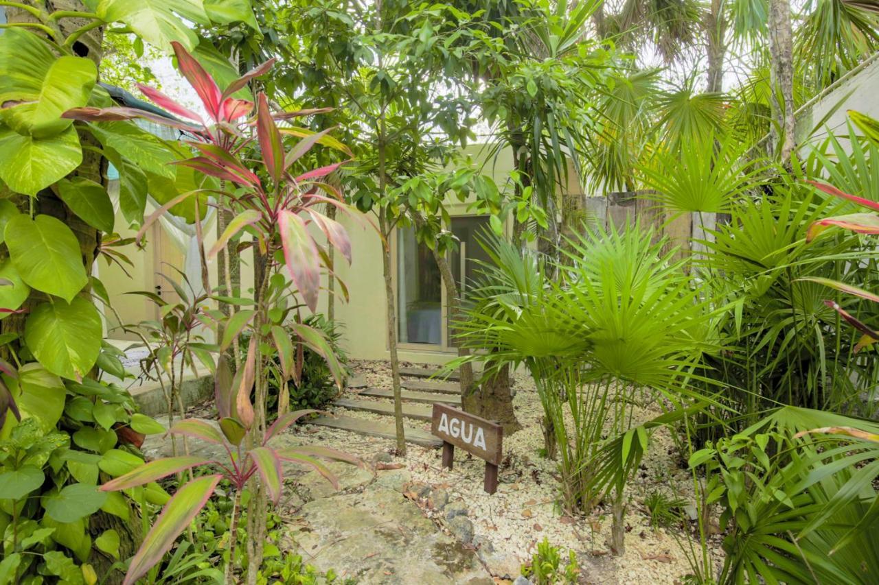 Oma Cancun - Holistic Healing Center Buitenkant foto