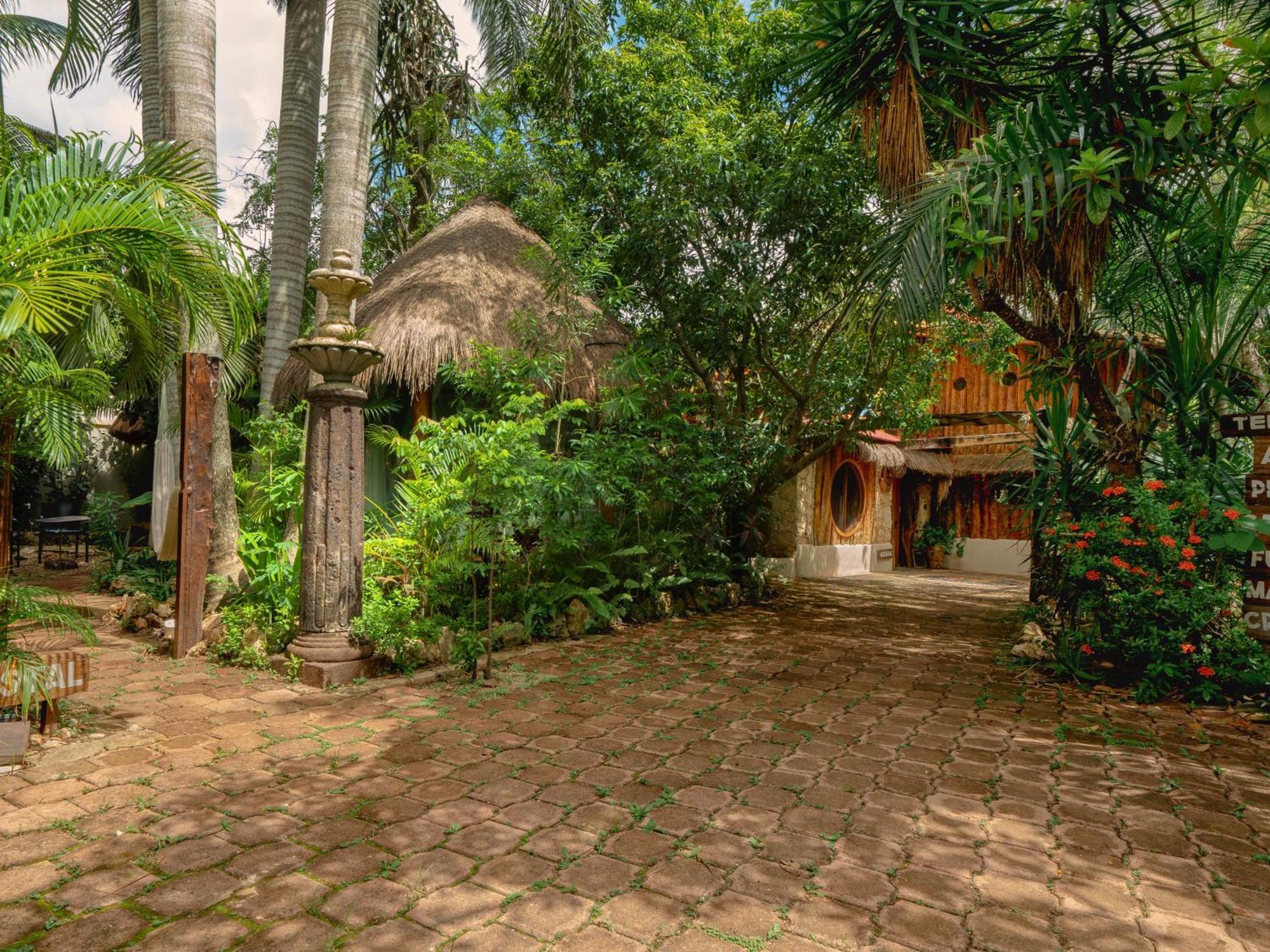 Oma Cancun - Holistic Healing Center Buitenkant foto